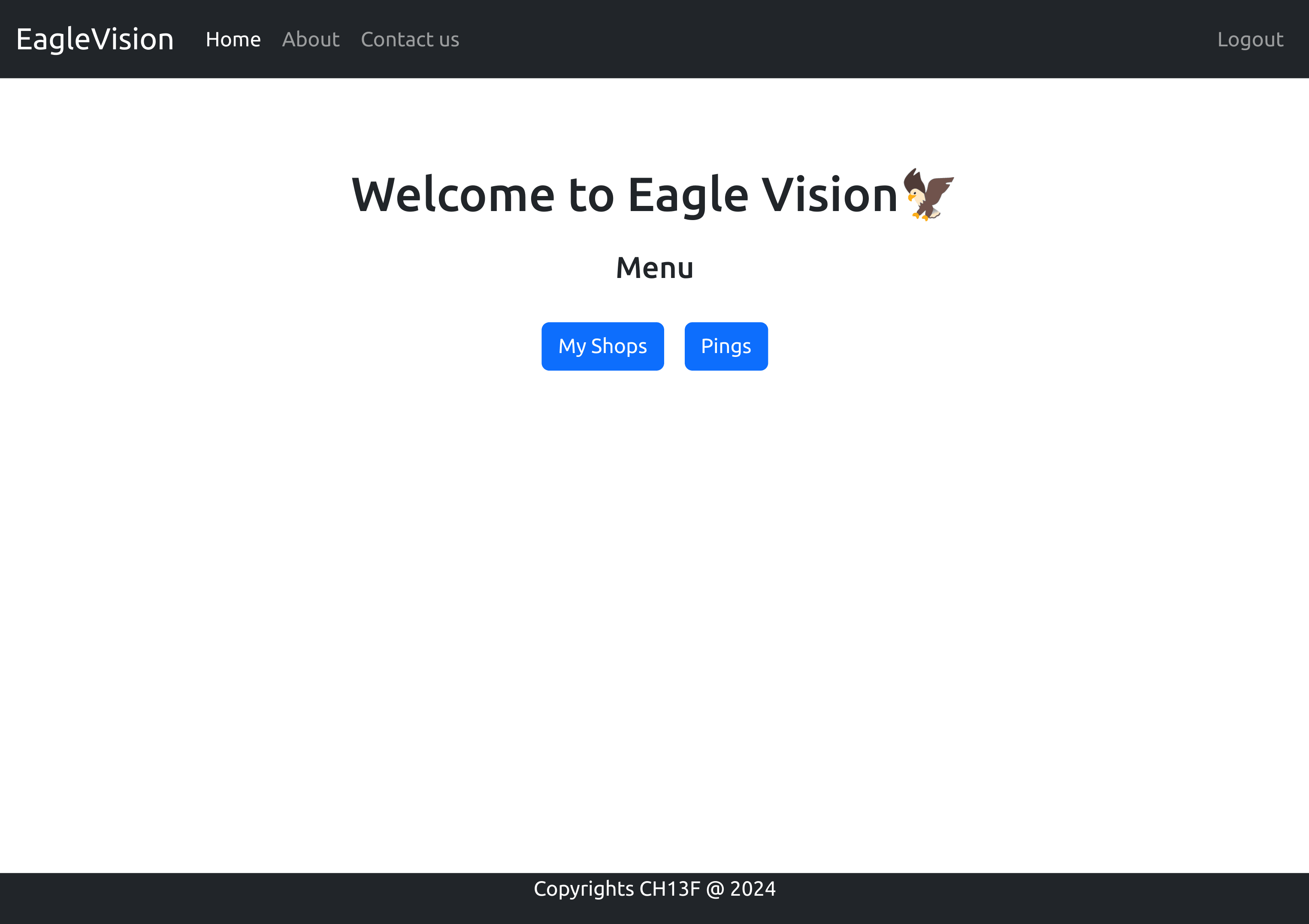 Eagle Vision